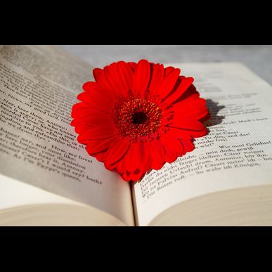 ヘアとマツエクの似合わせ